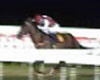 A Day At The Races